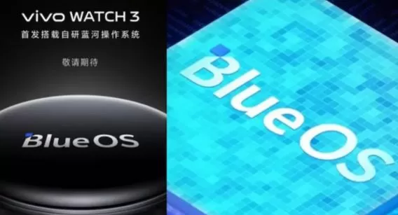 Vivo Blue OS